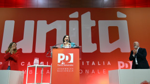 Approvata all'unanimit&agrave; la proroga del mandato di Schlein alla guida del Pd