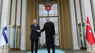 Erdogan donne son feu vert &agrave; l'adh&eacute;sion de la Finlande &agrave; l'Otan
