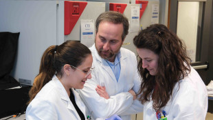 Un sistema 3D per studiare farmaci contro i tumori cerebrali