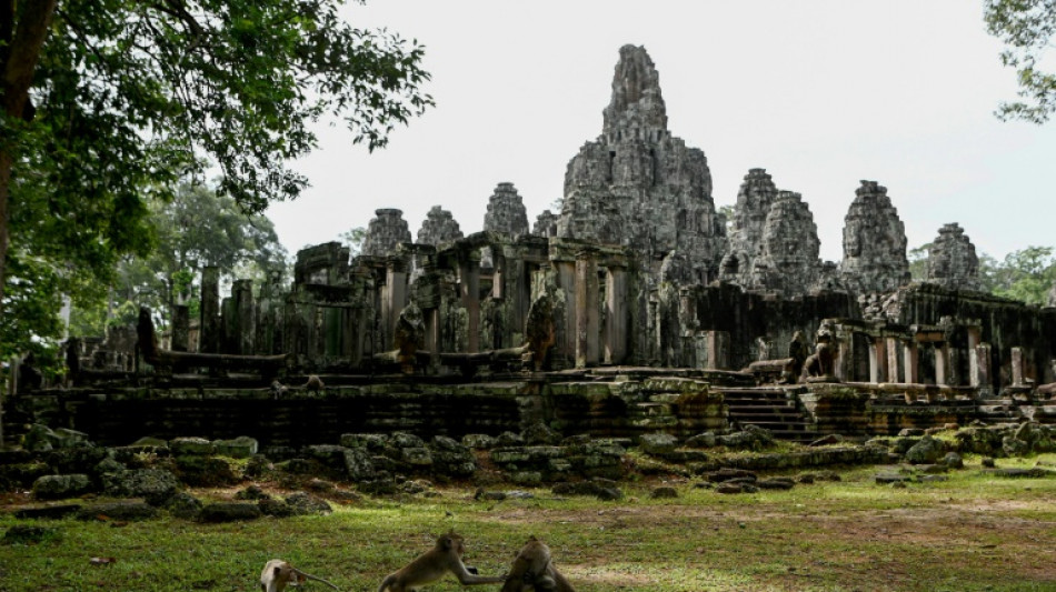 Cambodge: autour d'Angkor, le fragile retour des espèces sauvages menacées