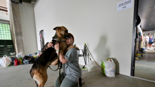 Cats and dogs saved from Ukraine floods find new homes