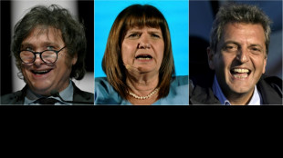 Argentines to vote, seeking escape from economic shambles
