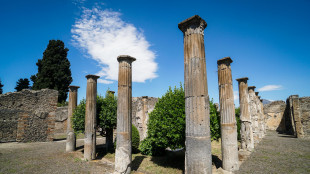 Abusi su un turista minorenne, arrestato custode degli Scavi di Pompei
