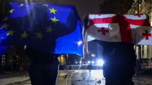 Georgiens Verfassungsgericht weist Antrag auf Annullierung von Wahlergebnis zur&uuml;ck