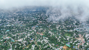 Rohingya refugees protest dire conditions in Bangladesh camps