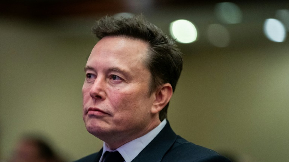 Bundesregierung will Unterst&uuml;tzung der AfD durch Musk nicht bewerten