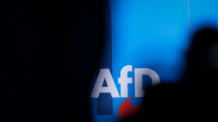 US-Milliard&auml;r Musk sieht AfD als "Retterin" Deutschlands