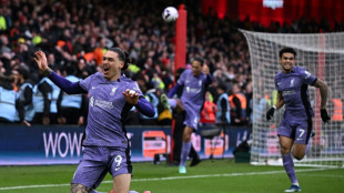 Angleterre: Liverpool miracul&eacute;, Chelsea encore frustr&eacute;