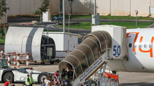 Piloto do voo da flydubai rumo a Israel "tentou derrubar o avi&atilde;o", diz Netanyahu