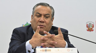 El gobierno peruano dice que la presidenta no tiene relaci&oacute;n con la causa contra su hermano