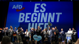 M&ouml;gliche AfD-Regierung in Sachsen-Anhalt: Migrantenverb&auml;nde fordern Schutzma&szlig;nahmen