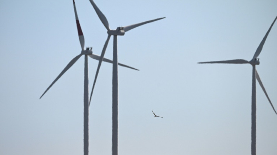 Trump admin halts US offshore wind projects citing 'national security'