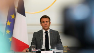 Macron veut &eacute;largir le r&eacute;f&eacute;rendum, sans bouleverser l'esprit de la Constitution