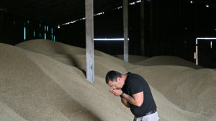 C&eacute;r&eacute;ales: l'amertume des agriculteurs ukrainiens