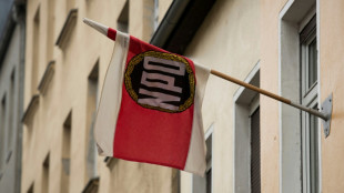 Bundesverfassungsgericht streicht Staatsgelder f&uuml;r NPD-Nachfolgepartei