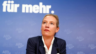 Weidel nennt OVG-Urteil "so nicht akzeptabel" und k&uuml;ndigt rechtliche Schritte an