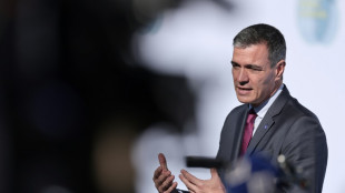 Turquie et Azerba&iuml;djan boudent le sommet de Grenade centr&eacute; sur le Haut-Karabakh