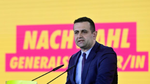 Djir-Sarai sieht Lindners Wirtschaftspapier als eine Grundlage f&uuml;r den Wahlkampf