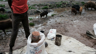 Recortes en la ayuda de EEUU y Europa podr&iacute;an causar 22,6 millones de muertes, seg&uacute;n un estudio