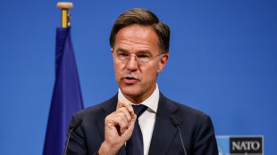 Nato-Generalsekret&auml;r Rutte reist zu Treffen mit Pistorius nach Deutschland