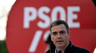 Elections locales et r&eacute;gionales en Espagne : Pedro S&aacute;nchez sur la d&eacute;fensive  