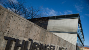Umfrage: AfD verliert an Zuspruch in Th&uuml;ringen - BSW kommt auf 15 Prozent