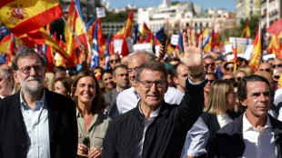Miles de personas apoyan en Madrid al l&iacute;der de la derecha antes de la investidura