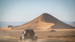 Loeb, Al-Attiyah, Peterhansel pr&ecirc;ts &agrave; endurer la 46e &eacute;dition du Dakar