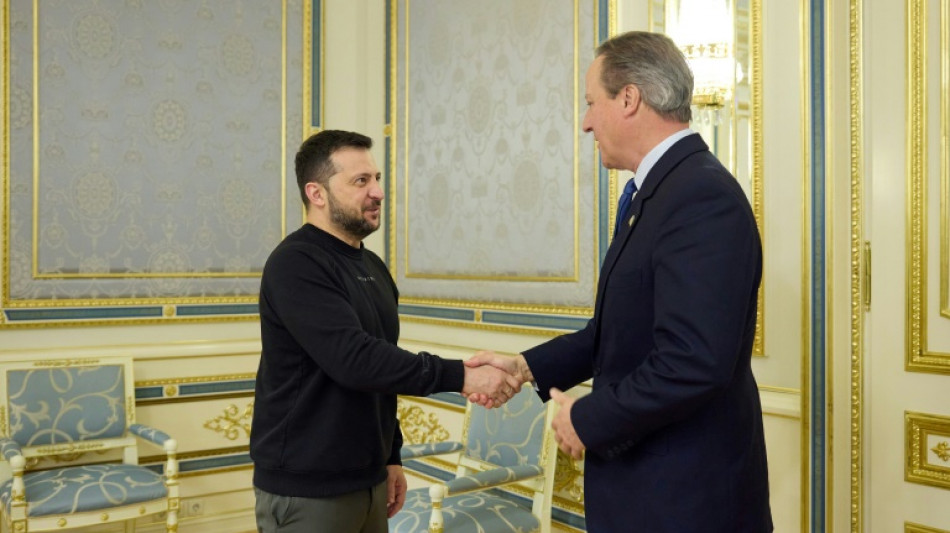En Ukraine, Cameron promet &agrave; Zelensky la poursuite du soutien militaire 