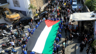 Bagdad, T&eacute;h&eacute;ran, Beyrouth: manifestations en soutien aux Palestiniens