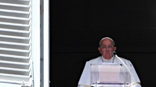 El papa urge "respetar" a los cascos azules de la ONU en L&iacute;bano