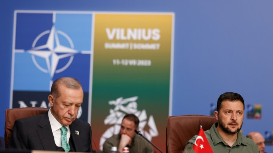 Erdogan dice que Putin "est&aacute; de acuerdo" para prolongar el pacto de exportaci&oacute;n de cereales