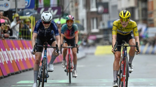Tour de France femmes: Vollering-Niewiadoma, le duel est lanc&eacute;