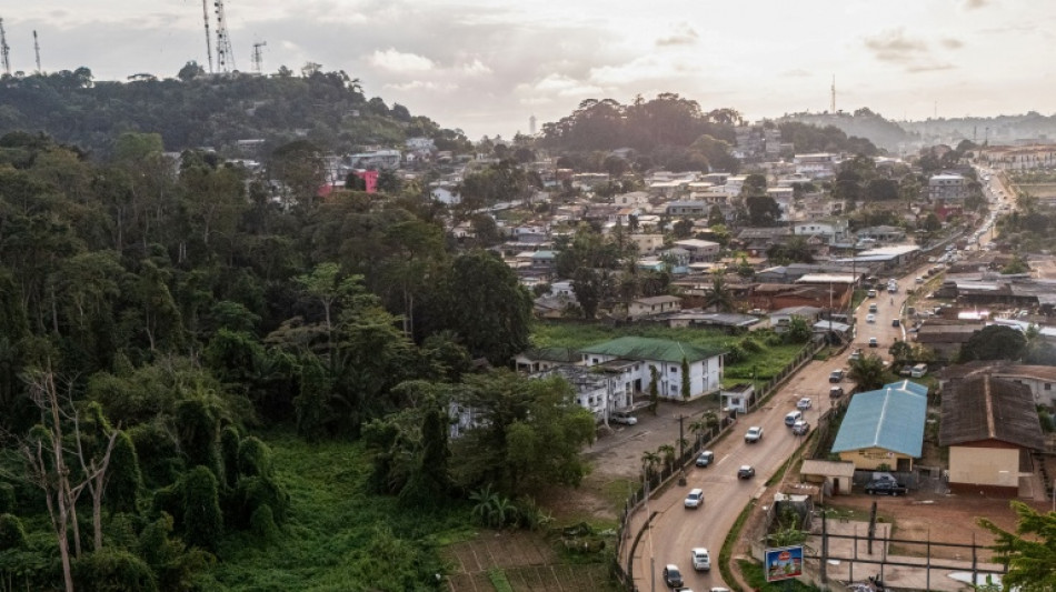 Biodiversit&eacute; : au Gabon, des botanistes en qu&ecirc;te de nouvelles esp&egrave;ces