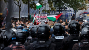 Rassemblements pro-palestiniens interdits ou autoris&eacute;s en France, pour "un cessez-le-feu imm&eacute;diat"