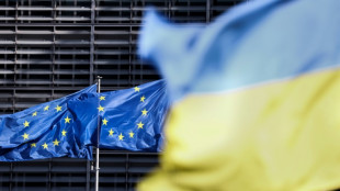 UE et Am&eacute;rique latine tentent de relancer leur relation, malgr&eacute; des divisions sur l'Ukraine
