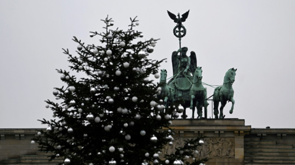 Geldstrafe f&uuml;r Klimaaktivistin nach Abs&auml;gen von Christbaumspitze in Berlin