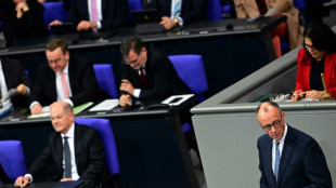 Merz erteilt Koalition mit Habecks Gr&uuml;nen eine Absage