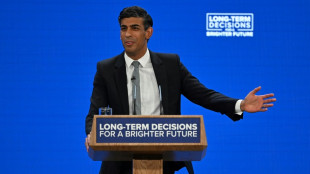 El primer ministro brit&aacute;nico urge a los pa&iacute;ses occidentales a "dar medios" a Ucrania para "terminar el trabajo"