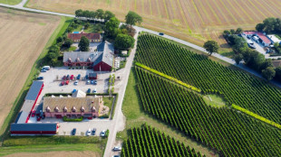 La Su&egrave;de, nouvelle fronti&egrave;re viticole