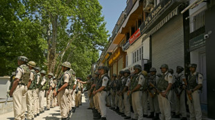 India's G20 tourism meet begins in Kashmir under tight security