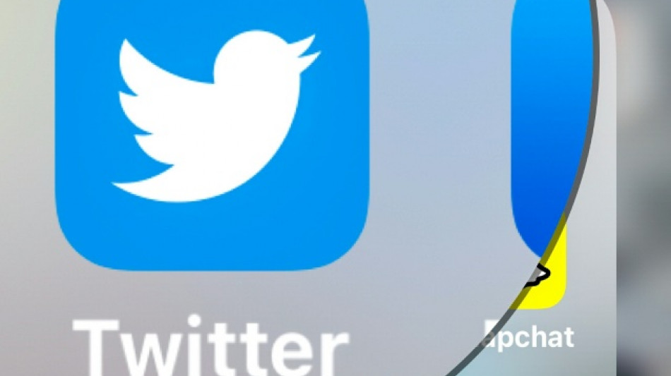 Twitter-Aktienkurs nach Einstieg von Elon Musk vorb&ouml;rslich 25 Prozent im Plus

