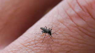 Chikungunya, salgono a 19 i casi nel Modenese
