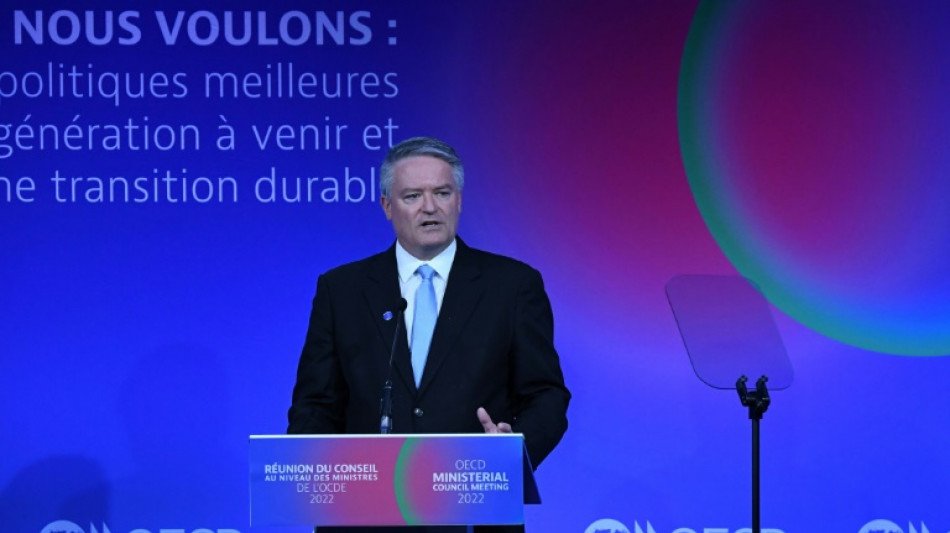 L'OCDE entrevoit une ann&eacute;e sombre pour l'&eacute;conomie et un risque d'aggravation&nbsp;
