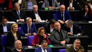 Bundestag debattiert &uuml;ber Verd&auml;chtigungen gegen AfD-Politiker