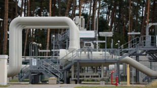 Allemagne: les "signes de r&eacute;cession se multiplient", dit la Bundesbank