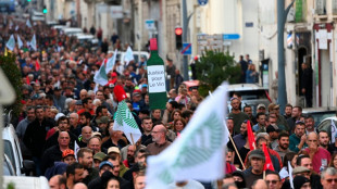 A Béziers, des milliers de viticulteurs demandent "d'agir vite" face à leur détresse