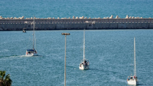 Isra&euml;l confirme l'expulsion de 137 autres militants de la flottille pour Gaza vers la Turquie 