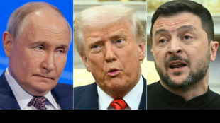 Trump 'open' to meeting Ukraine, Russia leaders to push ceasefire