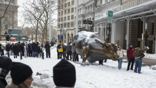 Il sindaco di New York ordina il divieto di viaggio per la neve